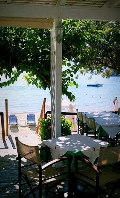 Faedra Beach Hotel - 3