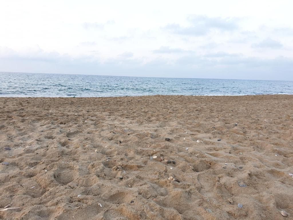 Kathrin Beach - 8