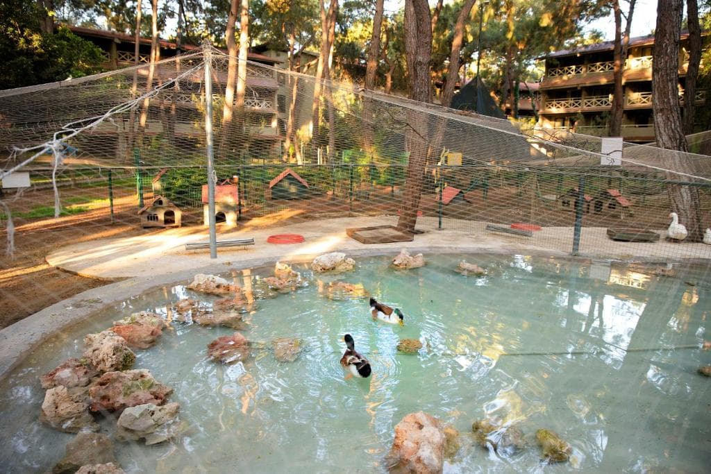 Charter Antalya - MARTI MYRA RESORT - 45