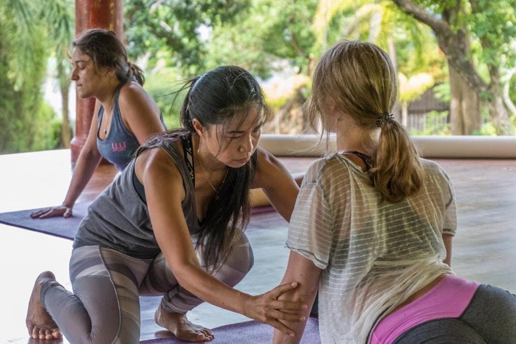 Mangosteen Ayurveda & Wellness Resort - 17