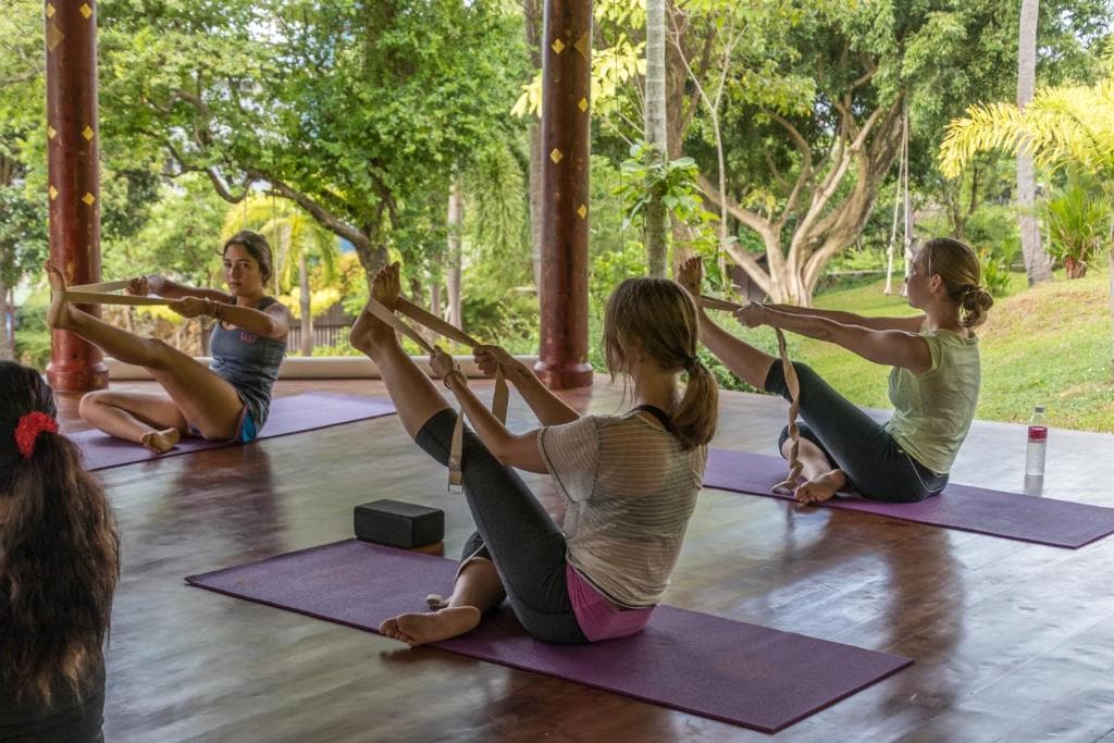 Mangosteen Ayurveda & Wellness Resort - 15