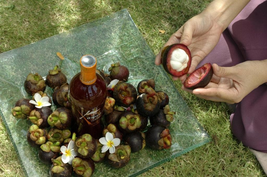 Mangosteen Ayurveda & Wellness Resort - 36