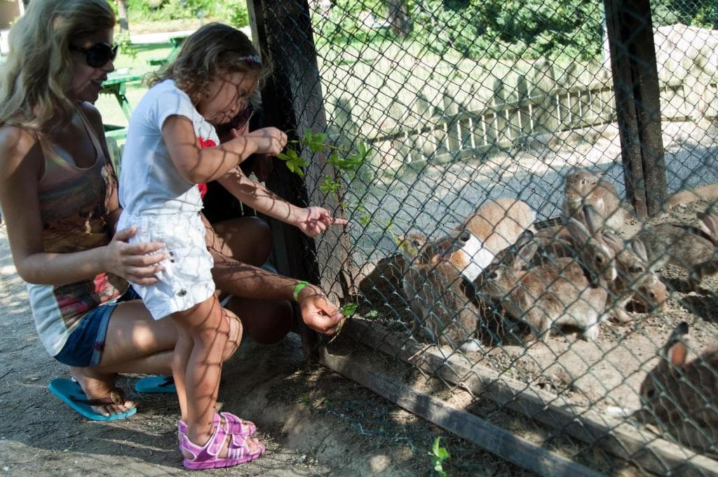 Charter Antalya - Marvida Family Eco Resort Hotel (ex Otium Family Eco Club ) - 39