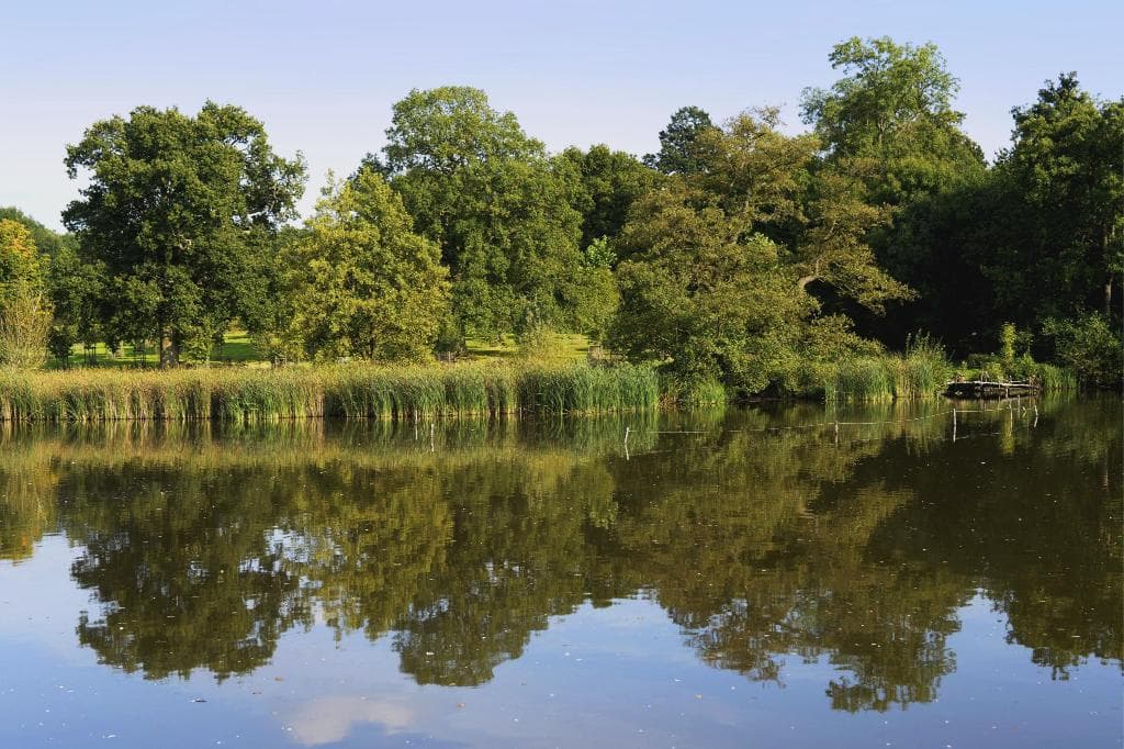 Linda Resort Hotel - 46