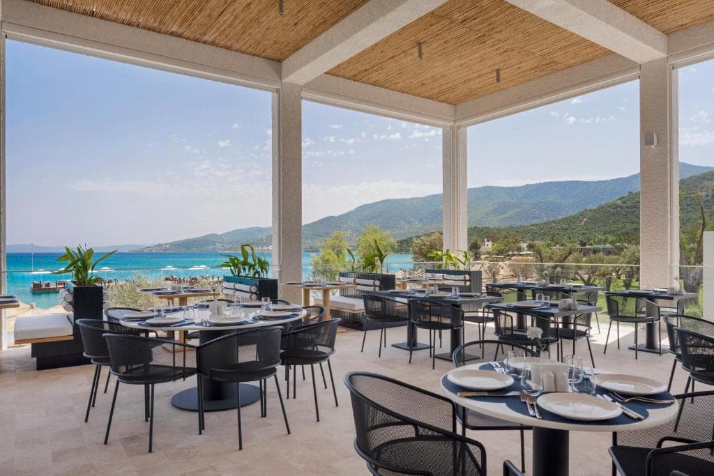 Voyage Torba - 4