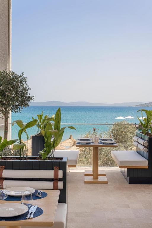 Voyage Torba - 30