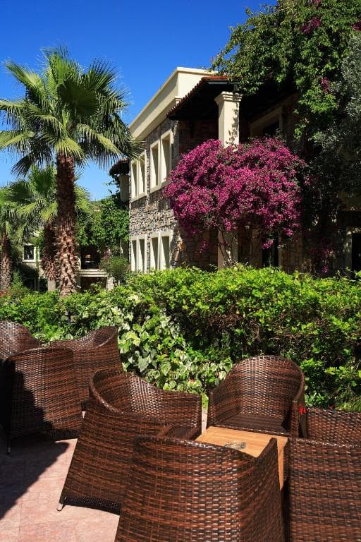 Zeytinada Hotel - 19