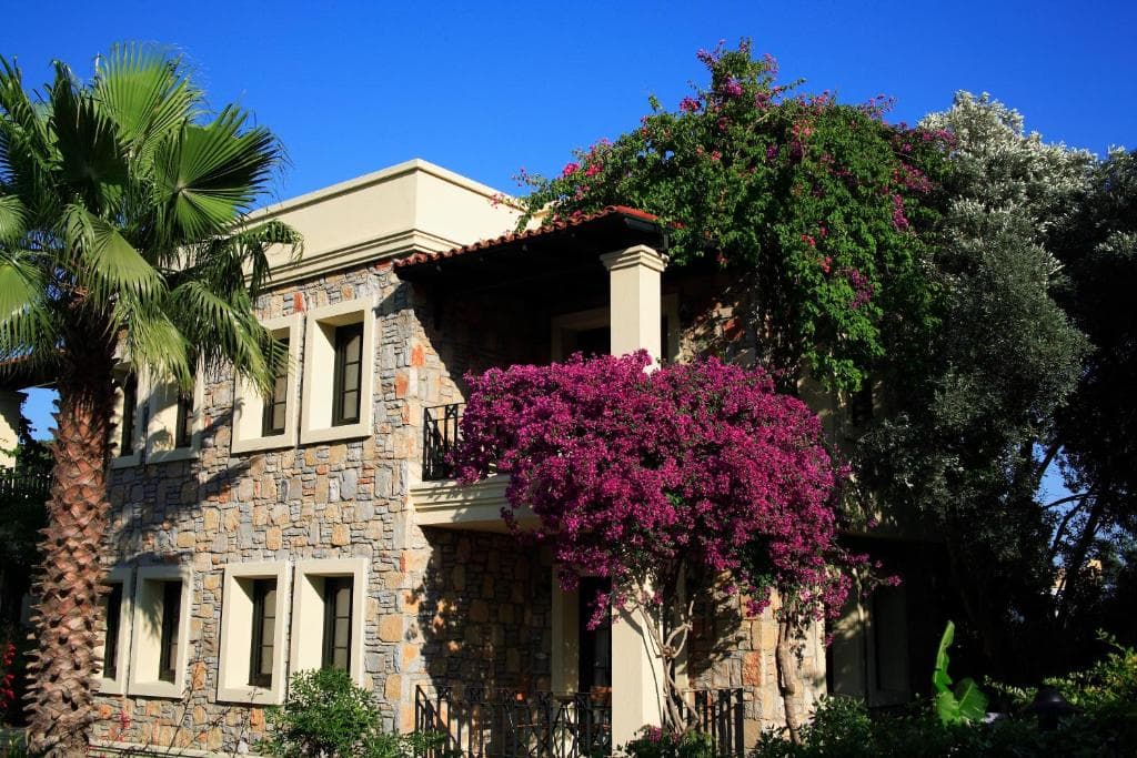 Zeytinada Hotel - 28