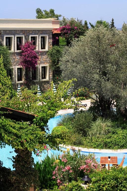 Zeytinada Hotel - 32