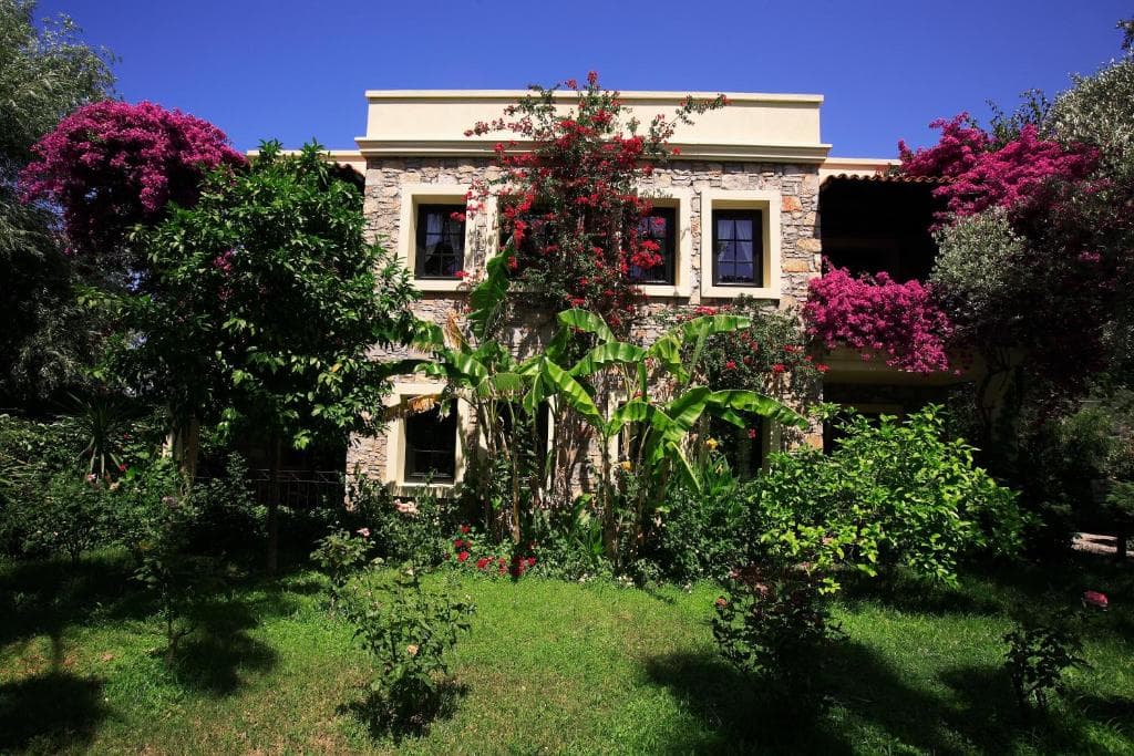 Zeytinada Hotel - 34