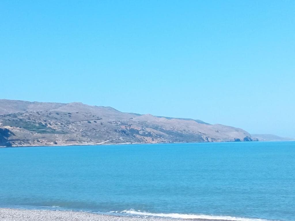 Mrs. Chryssana Beach - 13