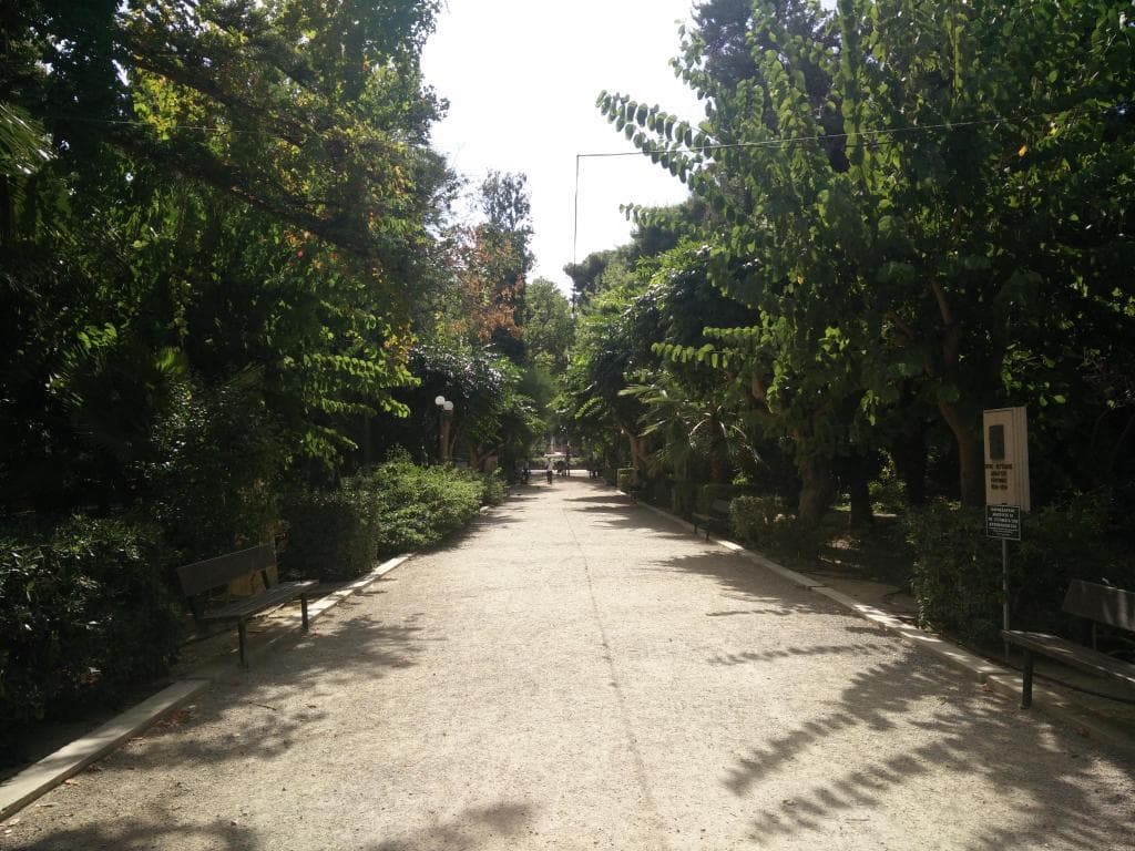 Olympic Palladium Rethymno - 29