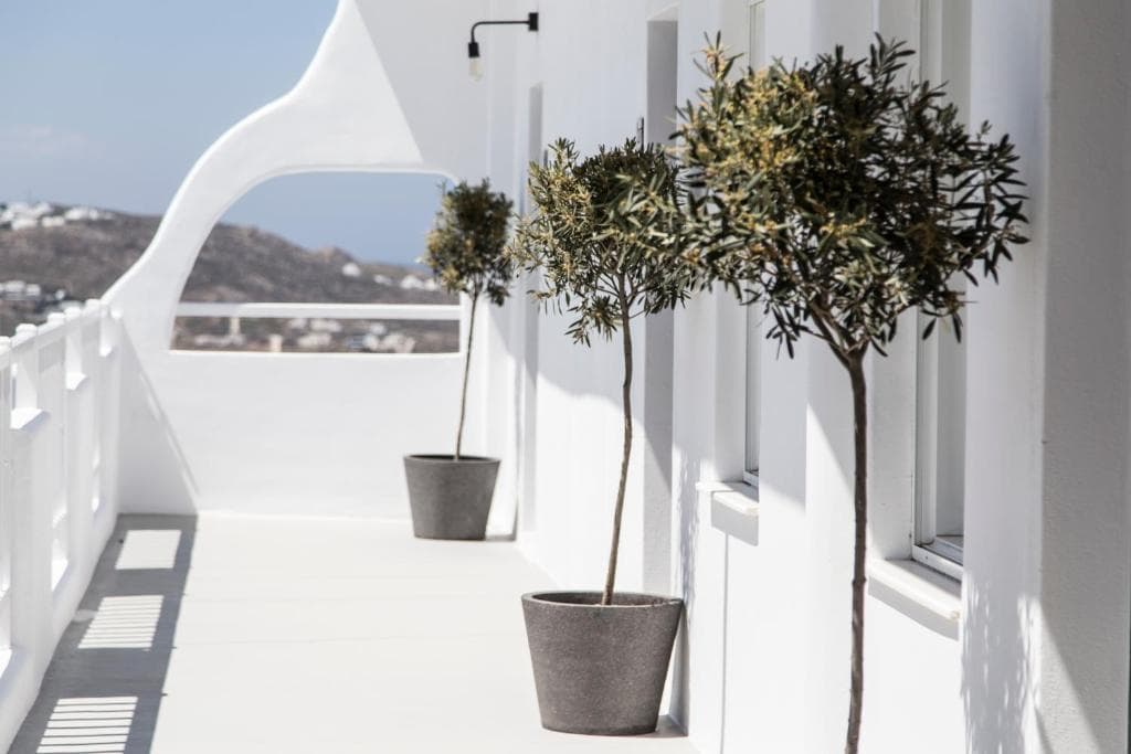 My Mykonos Boutique Hotel - 33