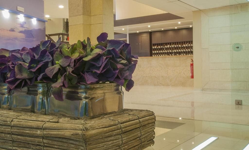 Europa Hotel - 31