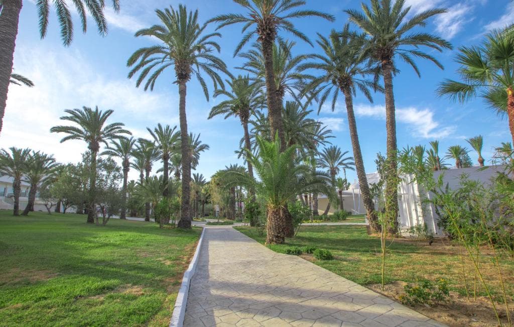 Occidental Sousse Marhaba Hotel - 45