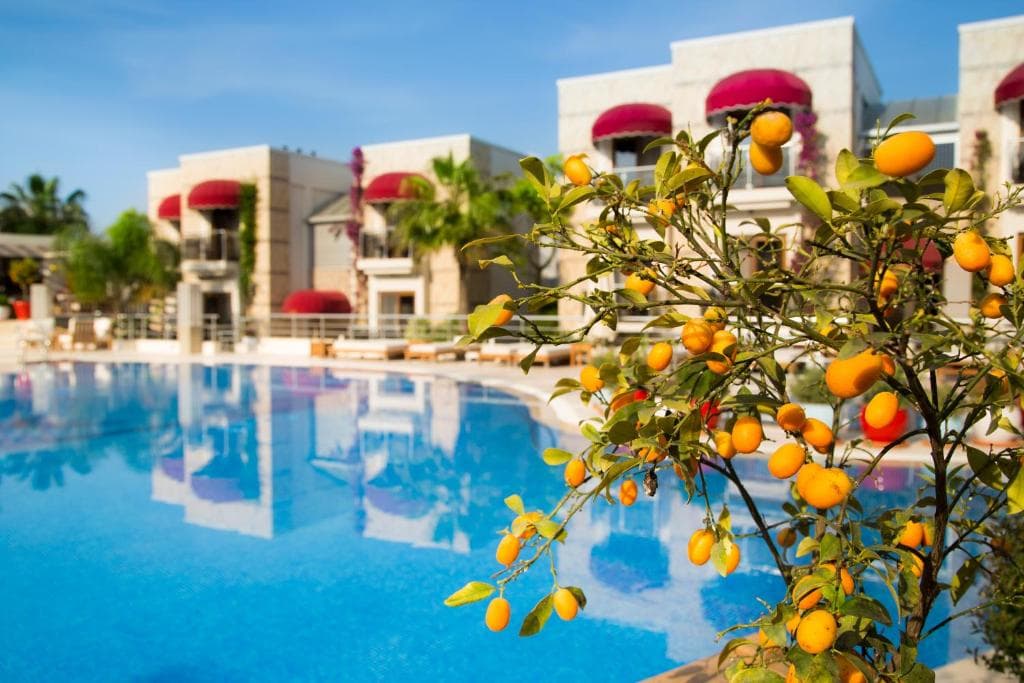 Bodrium Hotel And SPA - 11