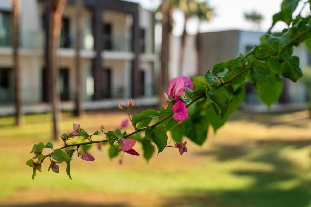 Hillstone Bodrum Hotel SPA - 12
