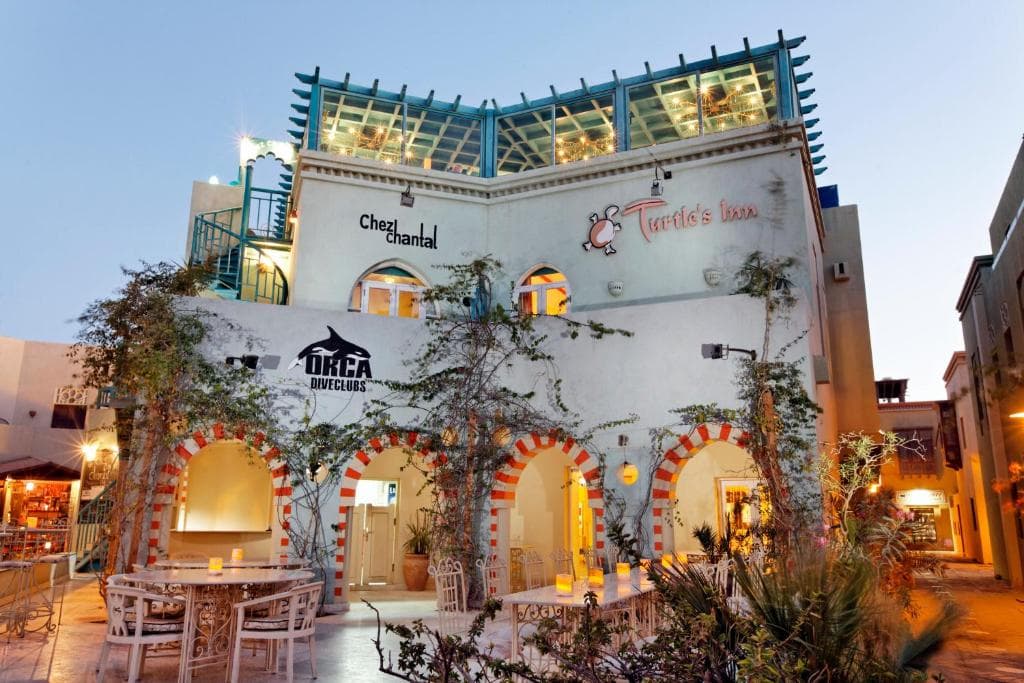 Turtle's Inn Hotel El Gouna - 1