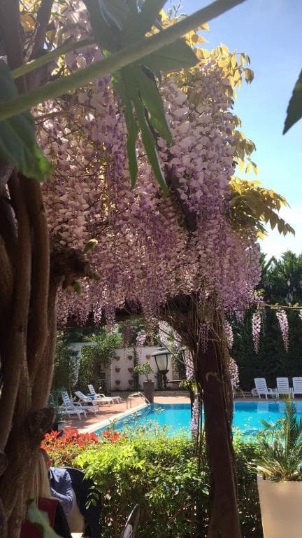 Hotel Vila Belvedere - 26