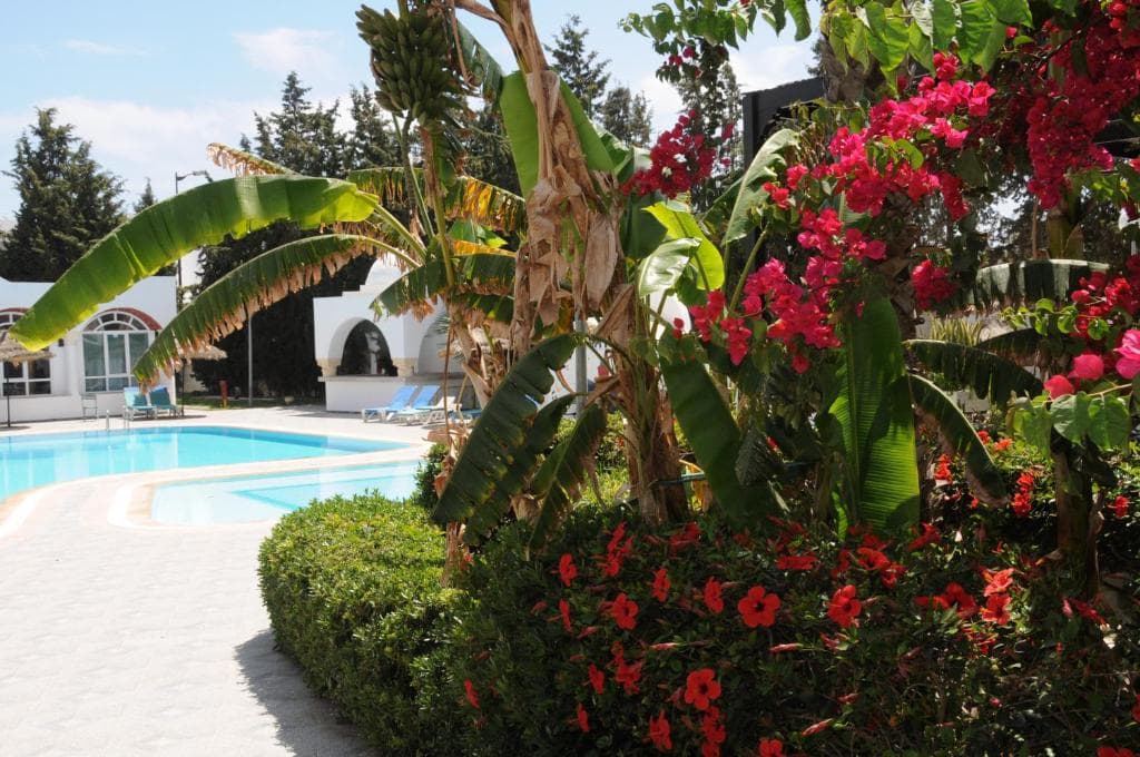 Charter Tunisia - Menara Hammamet - 30