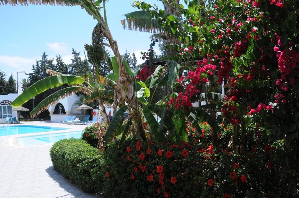 Charter Tunisia - Menara Hammamet - 40