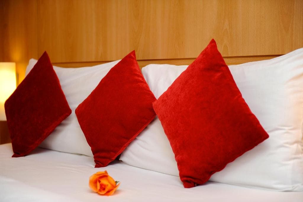Ibis Marrakech Palmeraie - 29