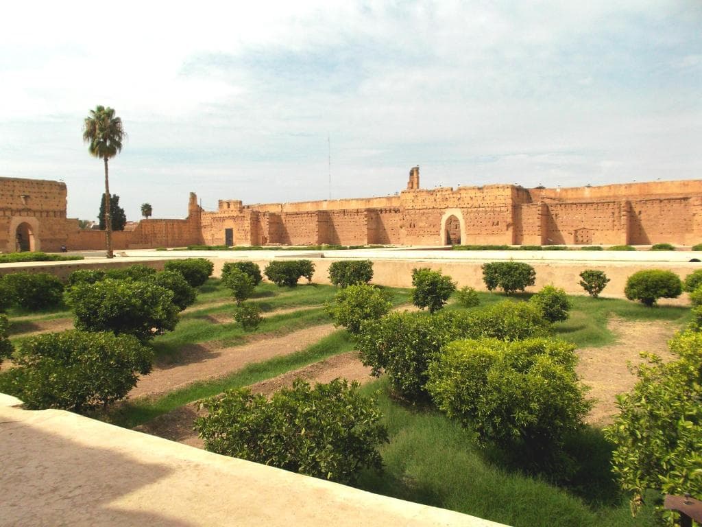 Riad Marelia - 1