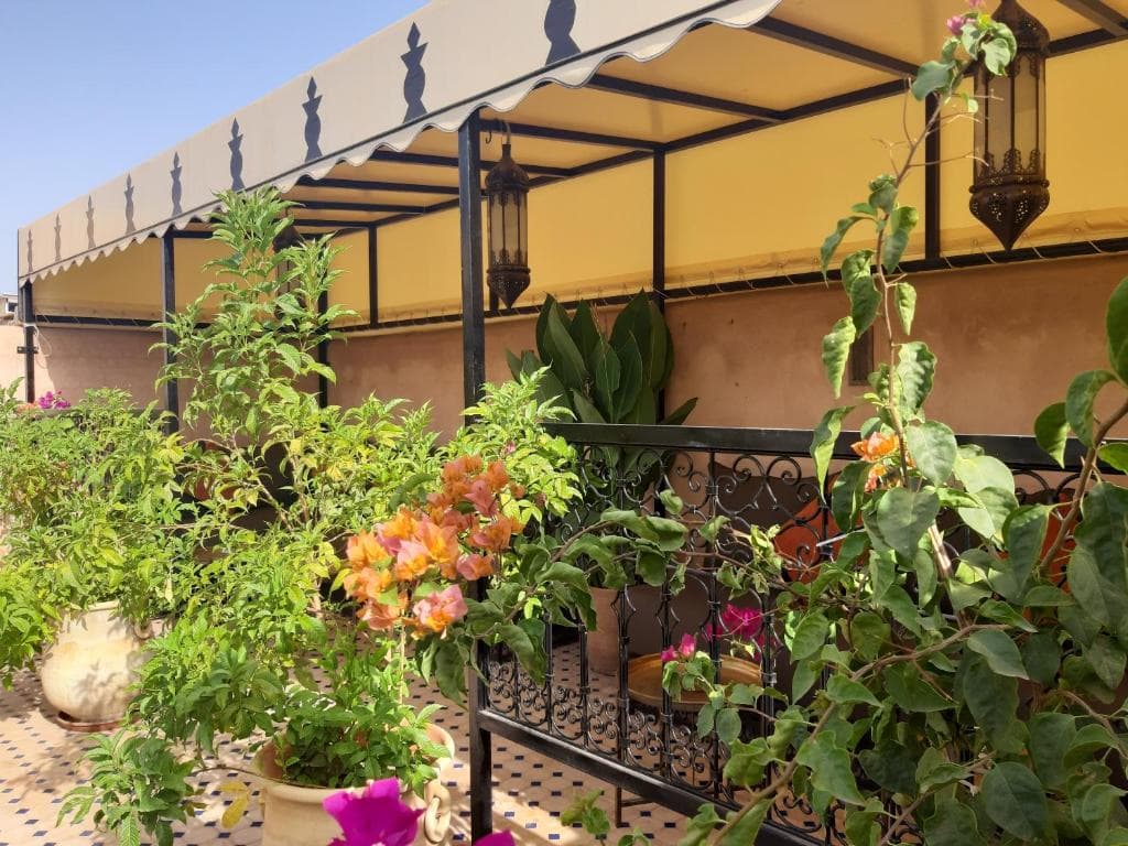 Riad Miral - 12