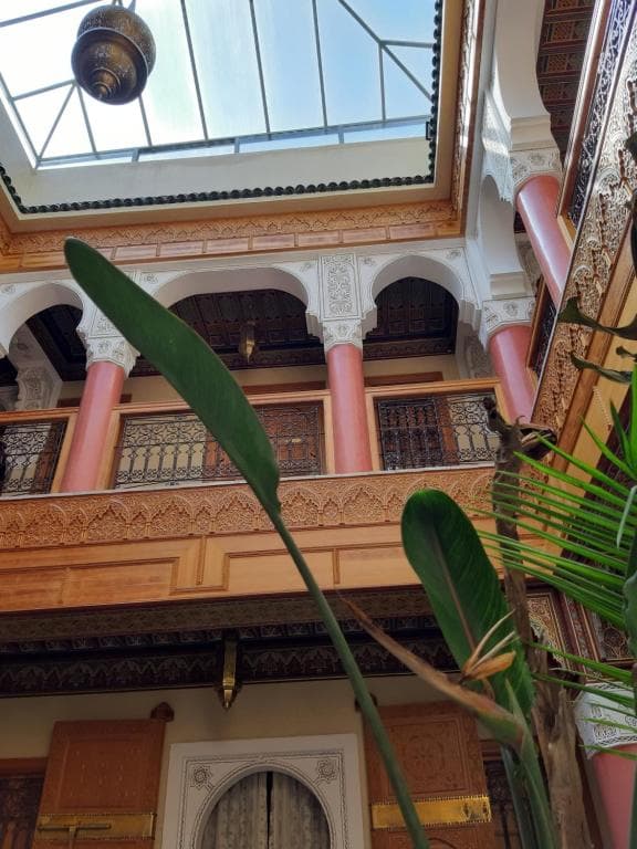 Riad Miral - 1