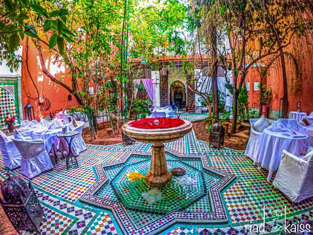 Riad Kaiss - 18