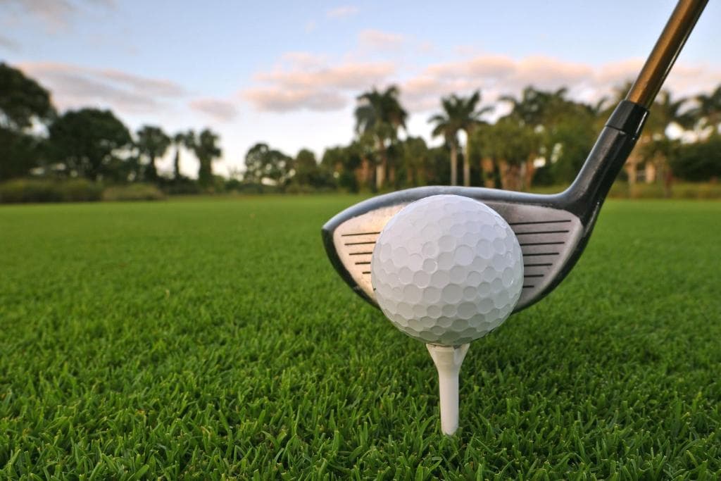 In Club Palmeraie Resorts - 46
