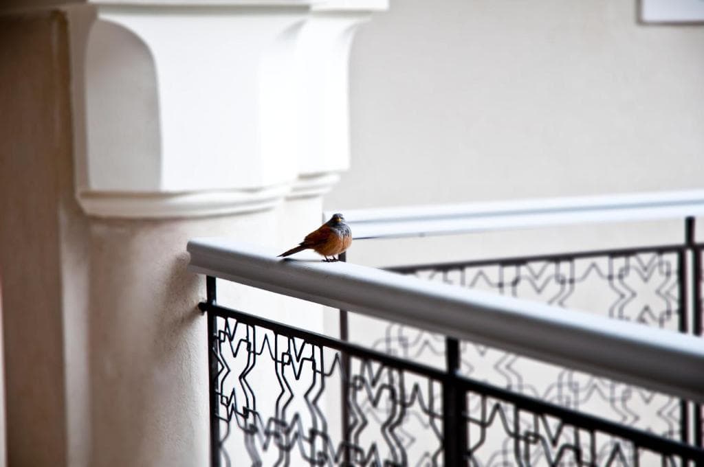 Riad Nashira & SPA - 14