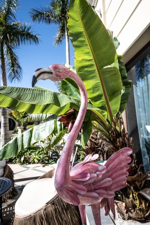 Royal River Luxury - 25