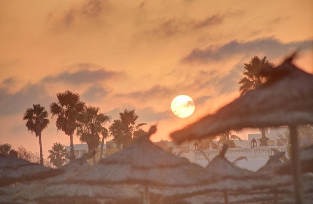 Hammamet Garden - 9
