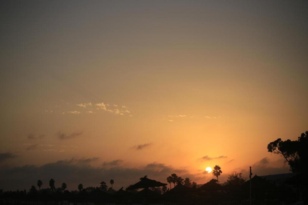 Hammamet Garden - 14