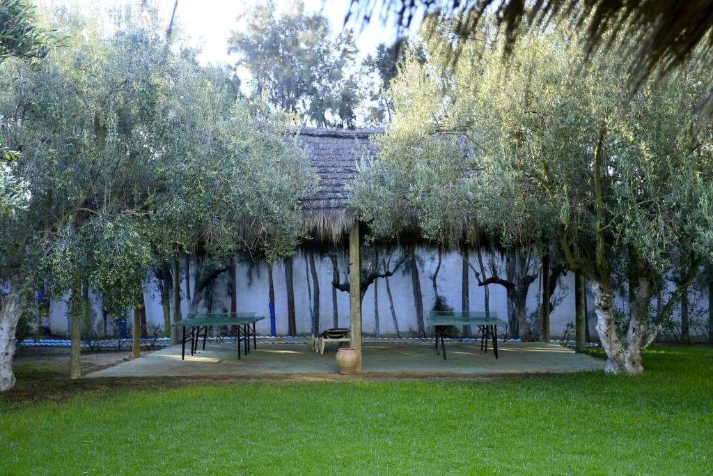 Hammamet Garden - 39