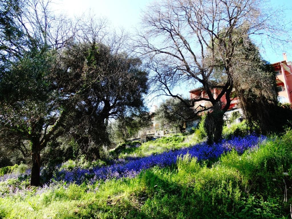 Paradiso Apartments - 28