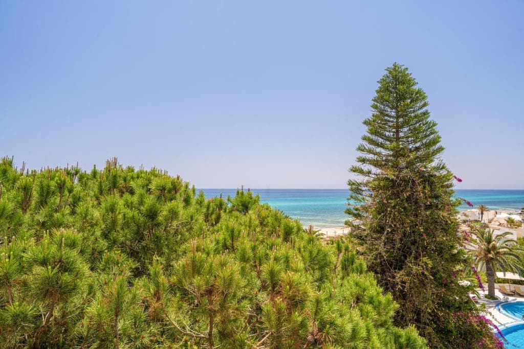 Sol Azur Beach & Congres - 10