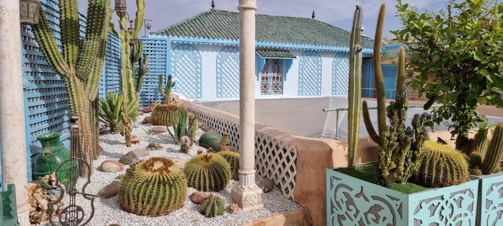 Riad Armelle - 14