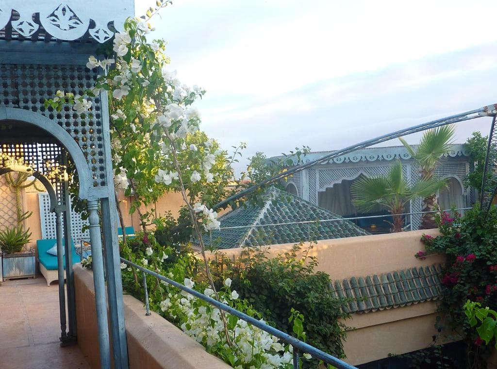Riad Armelle - 19