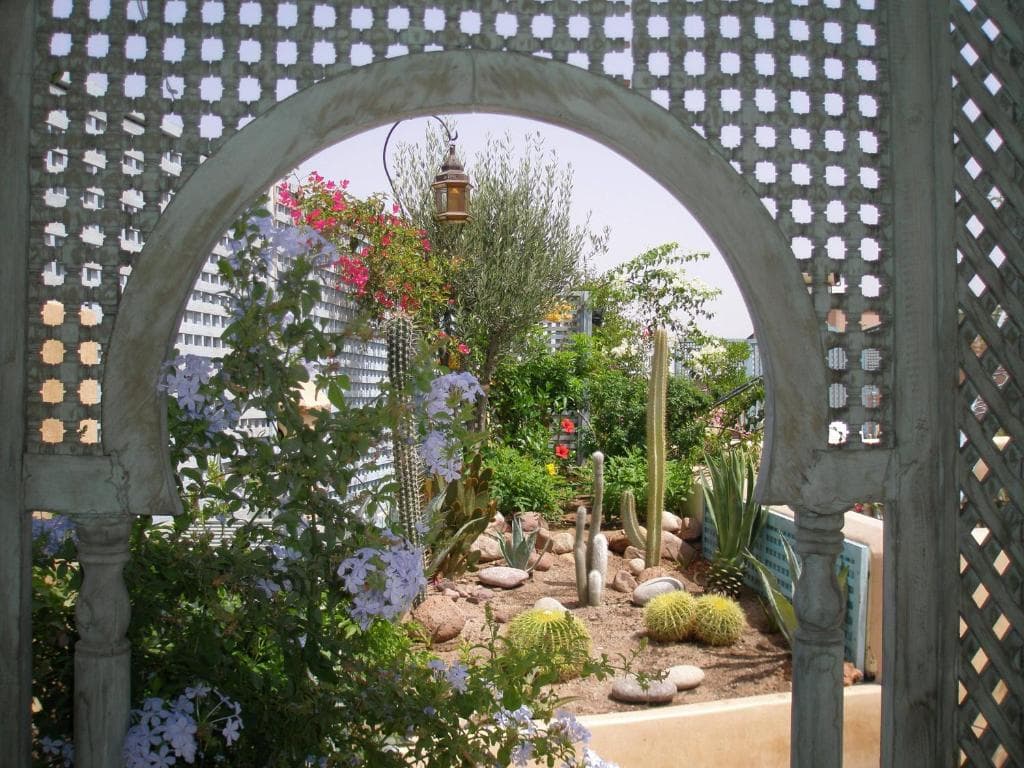 Riad Armelle - 20