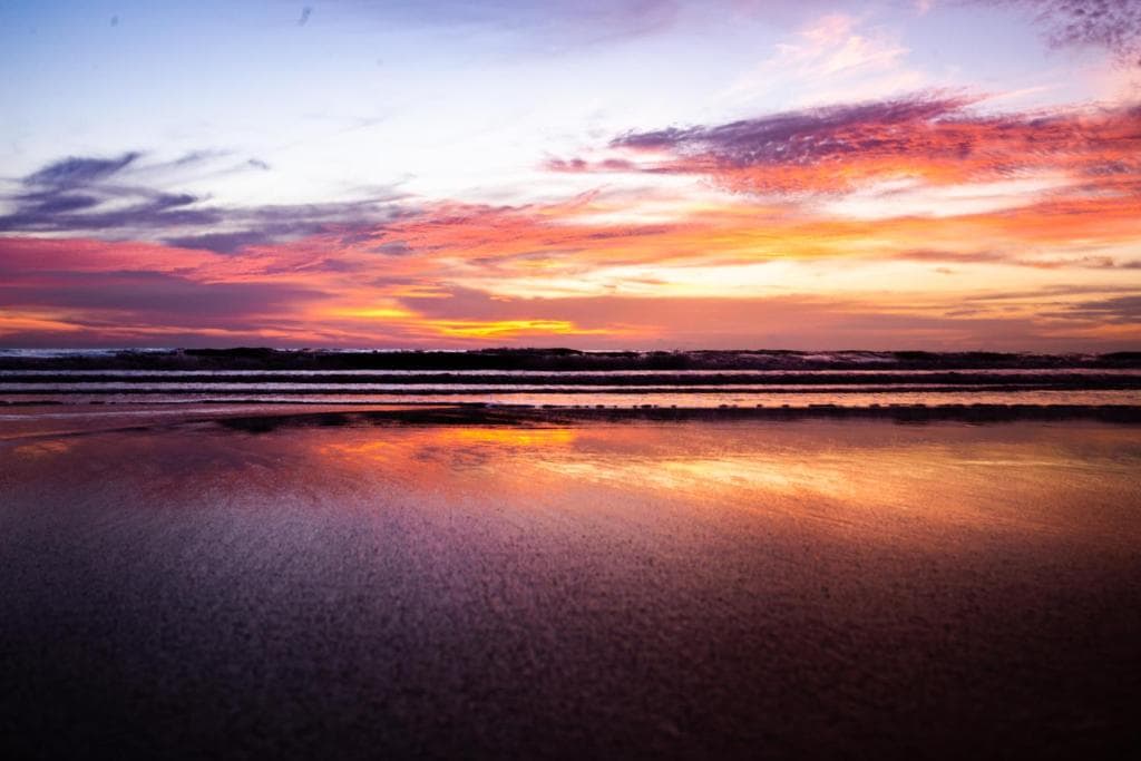 Pullman Khao Lak Resort - 13