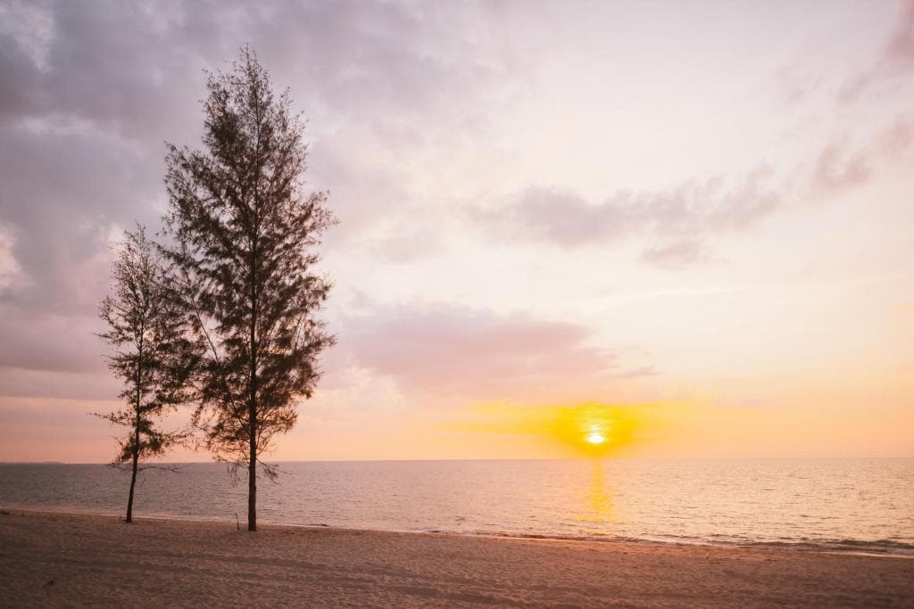 Pullman Khao Lak Resort - 15