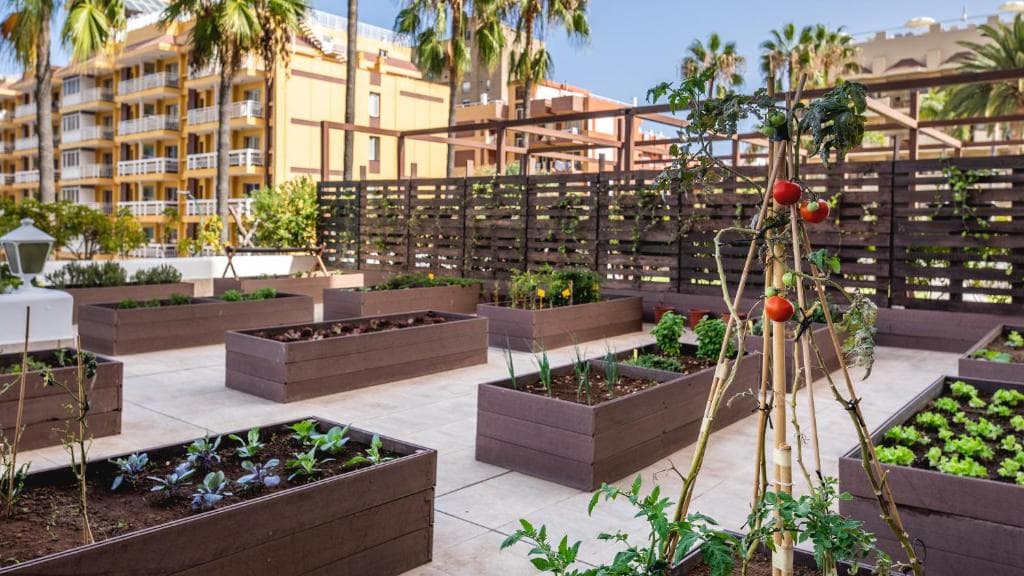 Be Live Adults Only Tenerife - 31