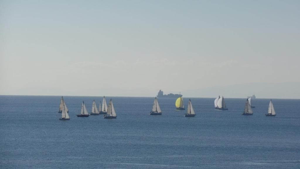 Cavo D' Oro - 13