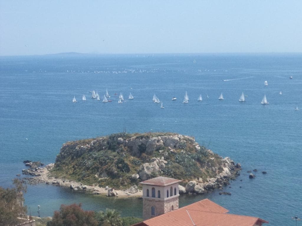 Cavo D' Oro - 14