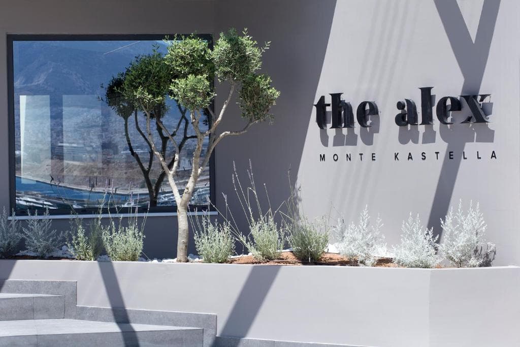 The Alex - 29