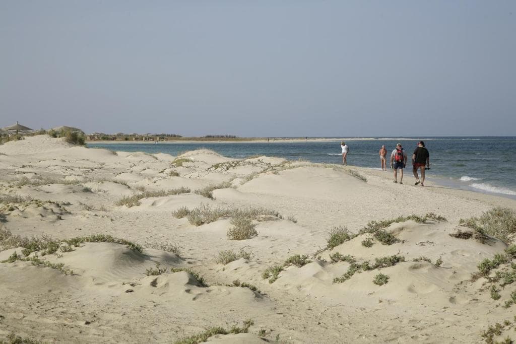 Shams Alam Beach Resort - 17