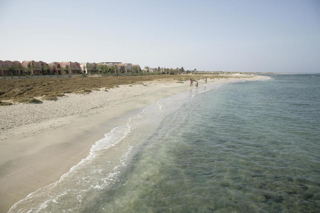 Shams Alam Beach Resort - 19