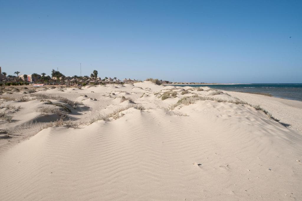 Shams Alam Beach Resort - 36